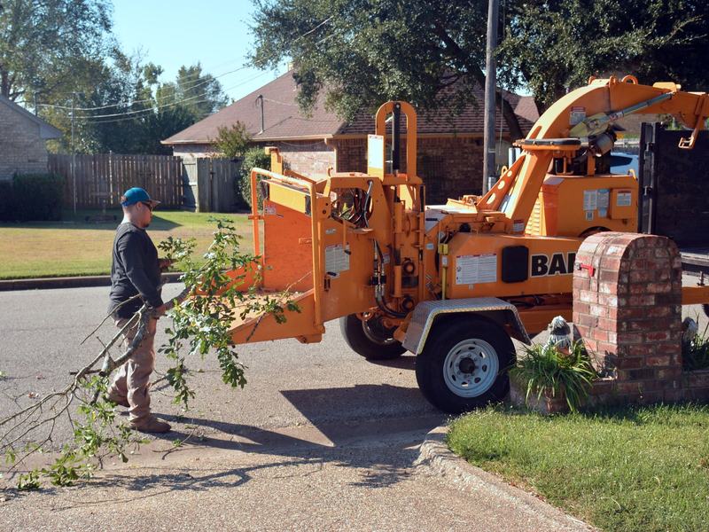 Finished tree removal job for a Peoria homeowner